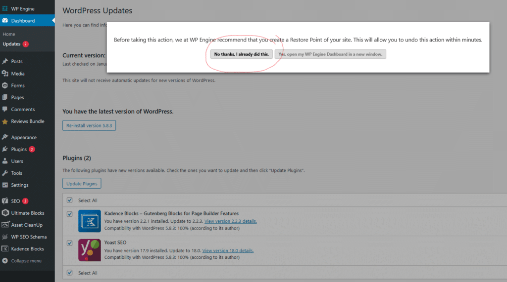 Select No thanks I already did this to update the WordPress plugins